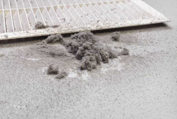 Best Commercial Air Duct Cleaning  in Edgewood, MD